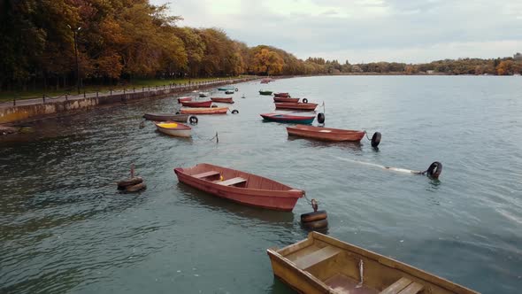 Old Boats are Standing Near the Shore