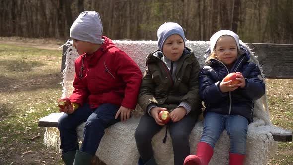 Children Sit on a Bench in the Park and Eat Apples,slow-mo