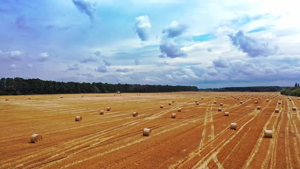 Twisted haystack on field. Landscape of grasland after haymaking alt