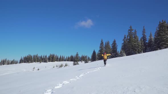 A Man with a Backpack Travels in the Mountains in Winter alt
