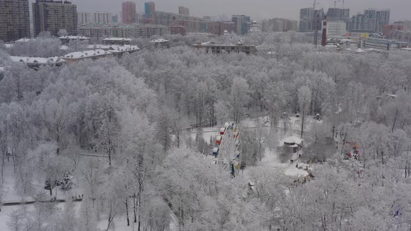 A Winter Cityscape After a Snowfall