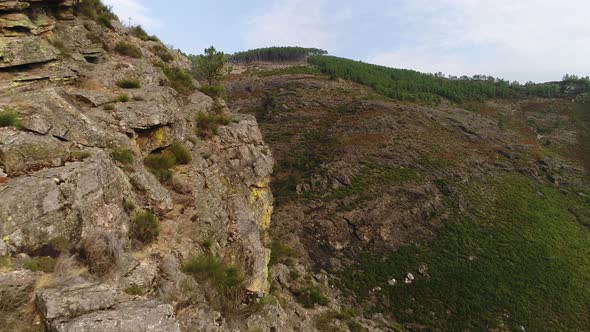 Rocky Mountain Background alt