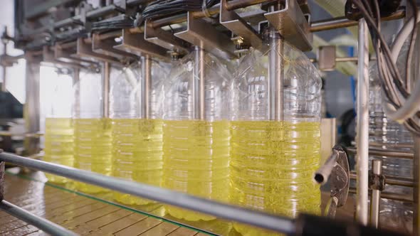Automatic Line for Filling Bottles with Sunflower Oil alt