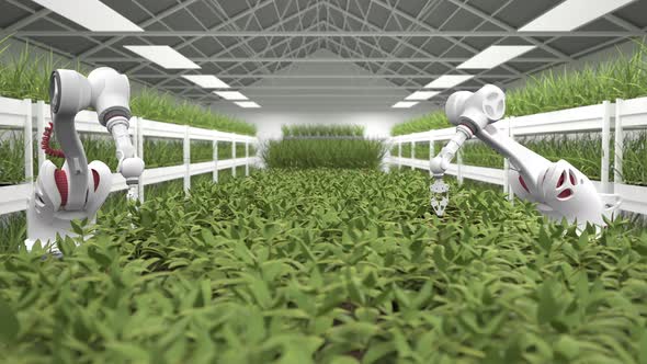 Artificial intelligence grows fresh herbs and vegetables
