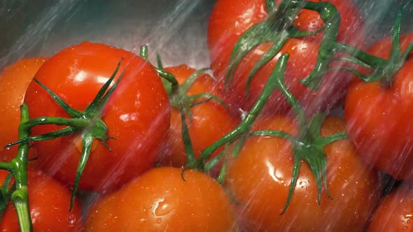 Tomatoes Get Washed In Sink alt