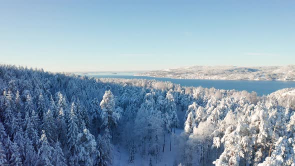Flying Slow Towards a Fjord Above Epic Snowy Cold Winter Forest