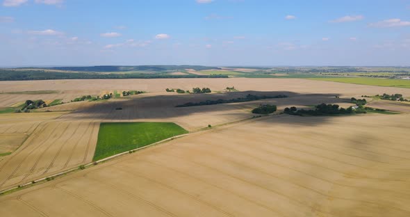 Countryside. Hectares Of Sown Fields With Cereals
