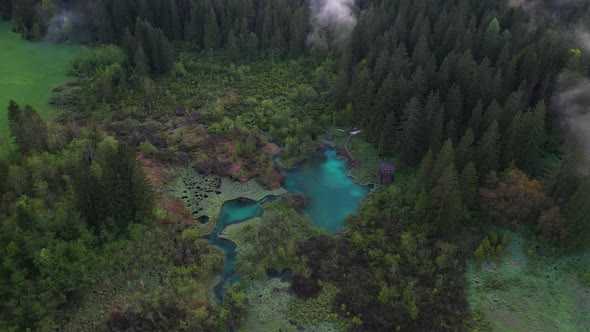 Zelenci springs on a beautiful summer evening alt