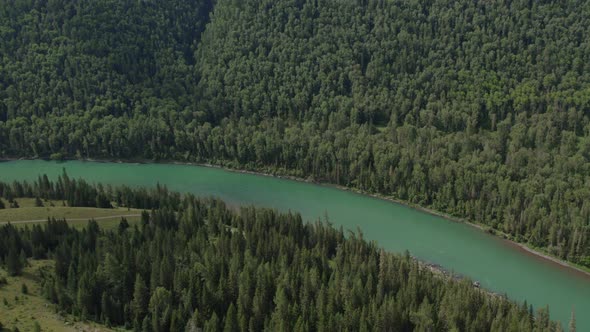 Blue river Katun and forest in Altai