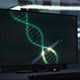 DNA examination software analyzes the gene cells in the Strand at the laboratory - VideoHive Item for Sale