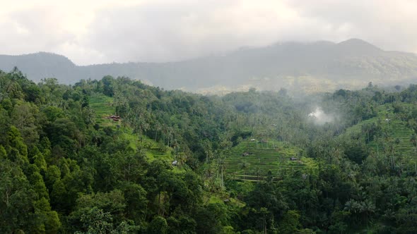 Looking over a rice field and mountains