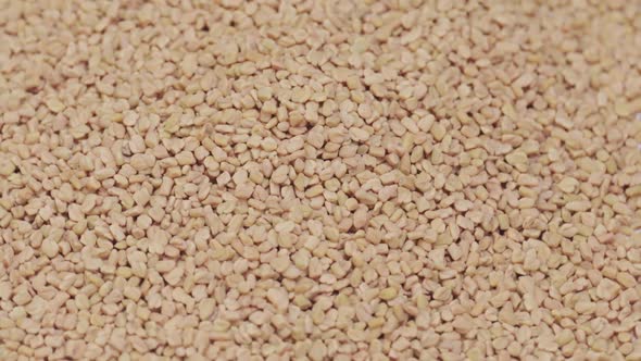 Fenugreek Seeds Background alt
