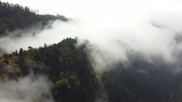 Filming the deep forest from above with passing clouds. Cinematic shot.