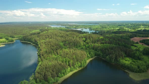 AERIAL: Forest that Looks like Africa Continent Growing near Blue Lake
