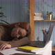 Young Woman Sleeping at Desk with Laptop and Papers Feels Tired - VideoHive Item for Sale