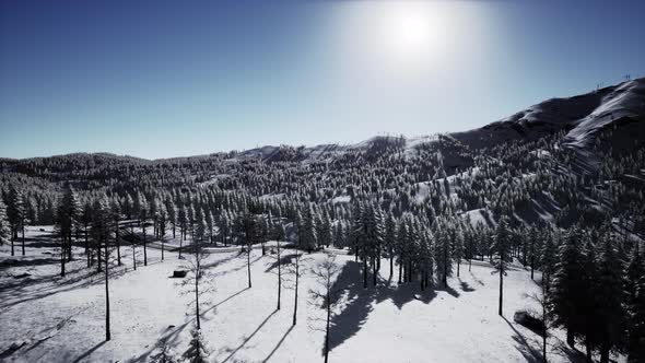Splendid Alpine Scenery in Winter alt