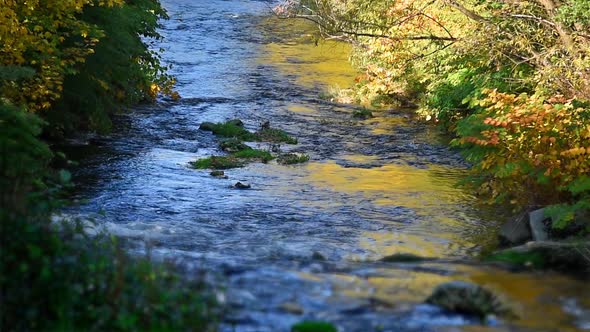 River In Autumn