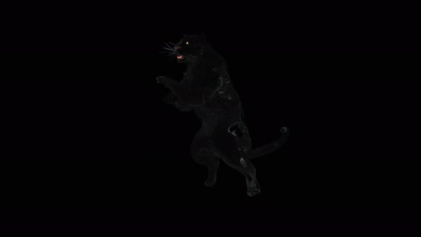 Panther Dancing 4K alt