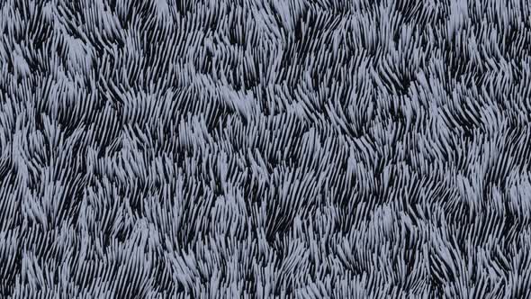 Black Background alt