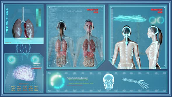 Female Body Futuristic X Ray Scan alt