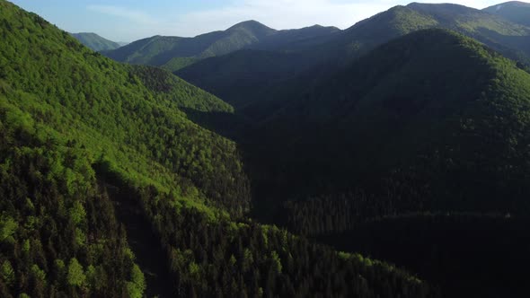 Aerial View of Steep Green Forest Hills in Spring