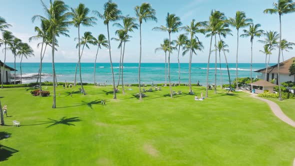 Cinematic Aerial Drone Flying Above Resort Between Green Palm Trees on Island alt