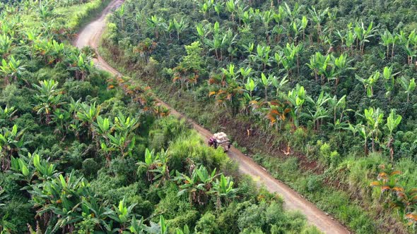 Coffee Cart on the way to town alt