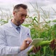 A Scientist in a Corn Field Checking the Condition of the Crop and Entering the Data Into a Tablet - VideoHive Item for Sale