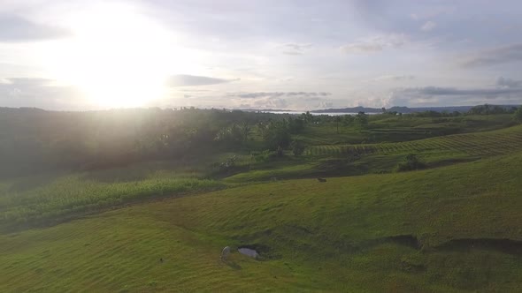 Aerial View of Rural Grassland in the Philippines with Sunrise