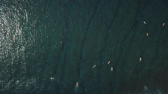Overhead view of surfers on surfboards