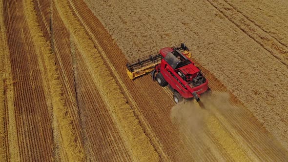 Agricultural landscape with combine. Aerial view of wheat field with harvesting combine alt