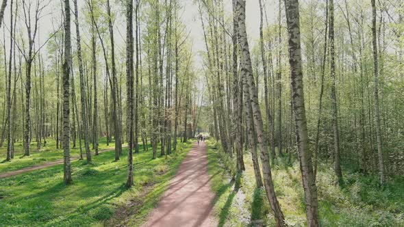 The Drone Flies Slowly Through Trees People Walk in Public Park in Sunny Weather Young Foliage in alt