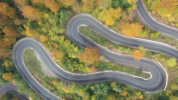 Dji 0844Aerial view of curving road through colorful autumn forest