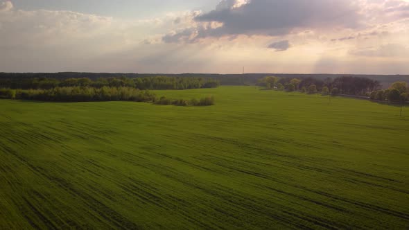 Drone footage of big agricultural field in spring under rays of setting sun on the horizon