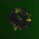 4K Corona Virus Covid 19 V3 Green