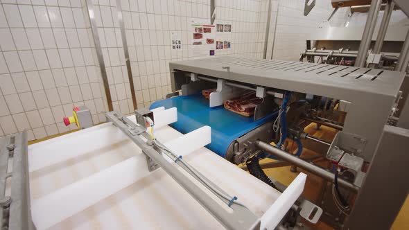 Automatic Feeder of Pieces of Meat From Conveyor Belt to Industrial Cutter