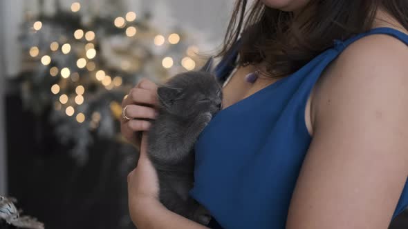 Closeup of Woman Petting Cute Kitten By Xmas Tree alt