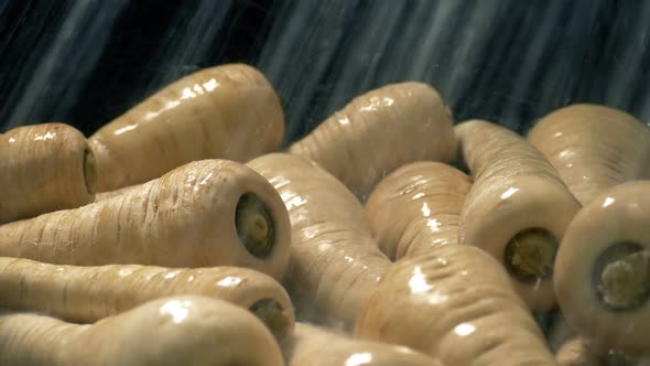 Parsnips Get Washed In Water Spray alt