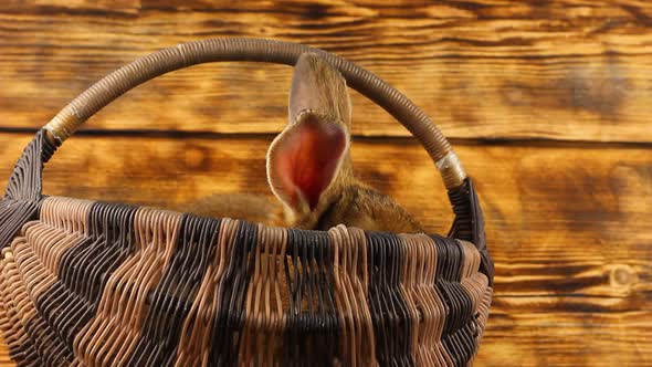 a Little Cute Brown Rabbit Sits in a Deep Wicker Basket on a Wooden Background and Looks Out with alt