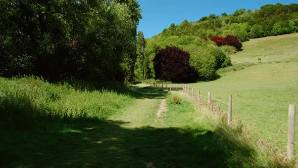 Surrey Hills, Area of Outstanding Natural Beauty, England, UK alt