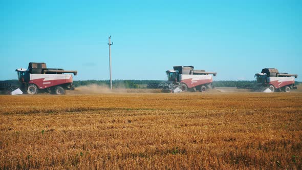 Industrial Combines Are Moving in a Line Along the Crops Field alt