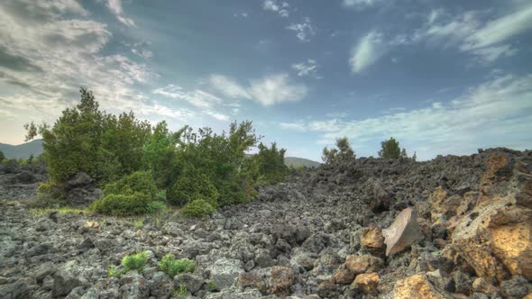 8K Basalt Plain Covered With Solidified Lava Rocks