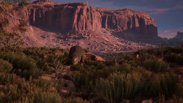 A Hungry Huge Powerful Tyrannosaurus Preparing to Attack Triceratops alt