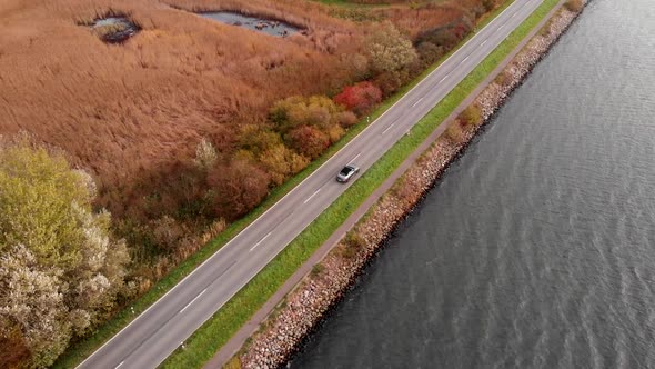 Car driving slowly on road between Schlei sea and forest in autumn, tilt up aerial alt