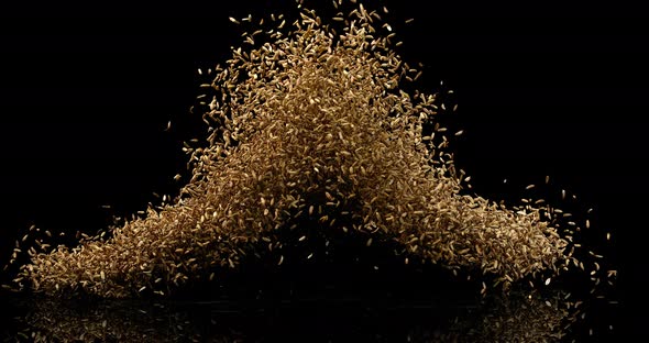 Seeds of Fennel, foeniculum vulgare Exploding against black Background, slow motion 4K alt