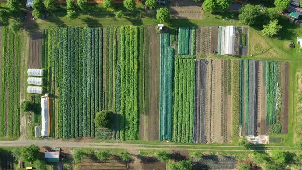 Bio Farmer Dron Aerial Field Farming Vegetable Agricultural Farm Garden Plantation Fruit Tree Apple