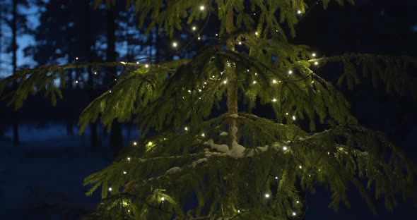 Christmas Tree In Forest At Night With Lights alt