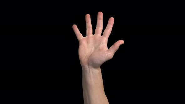 Male Hand Being Raised For Question