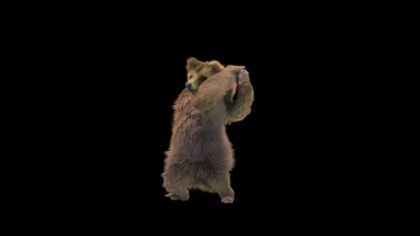 185 Bear Two Hand Sword Combo 4K alt