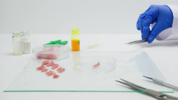 Medical Scientist Specialist Dripping From Pipette with Yellow Solution on Meat Food Research in alt